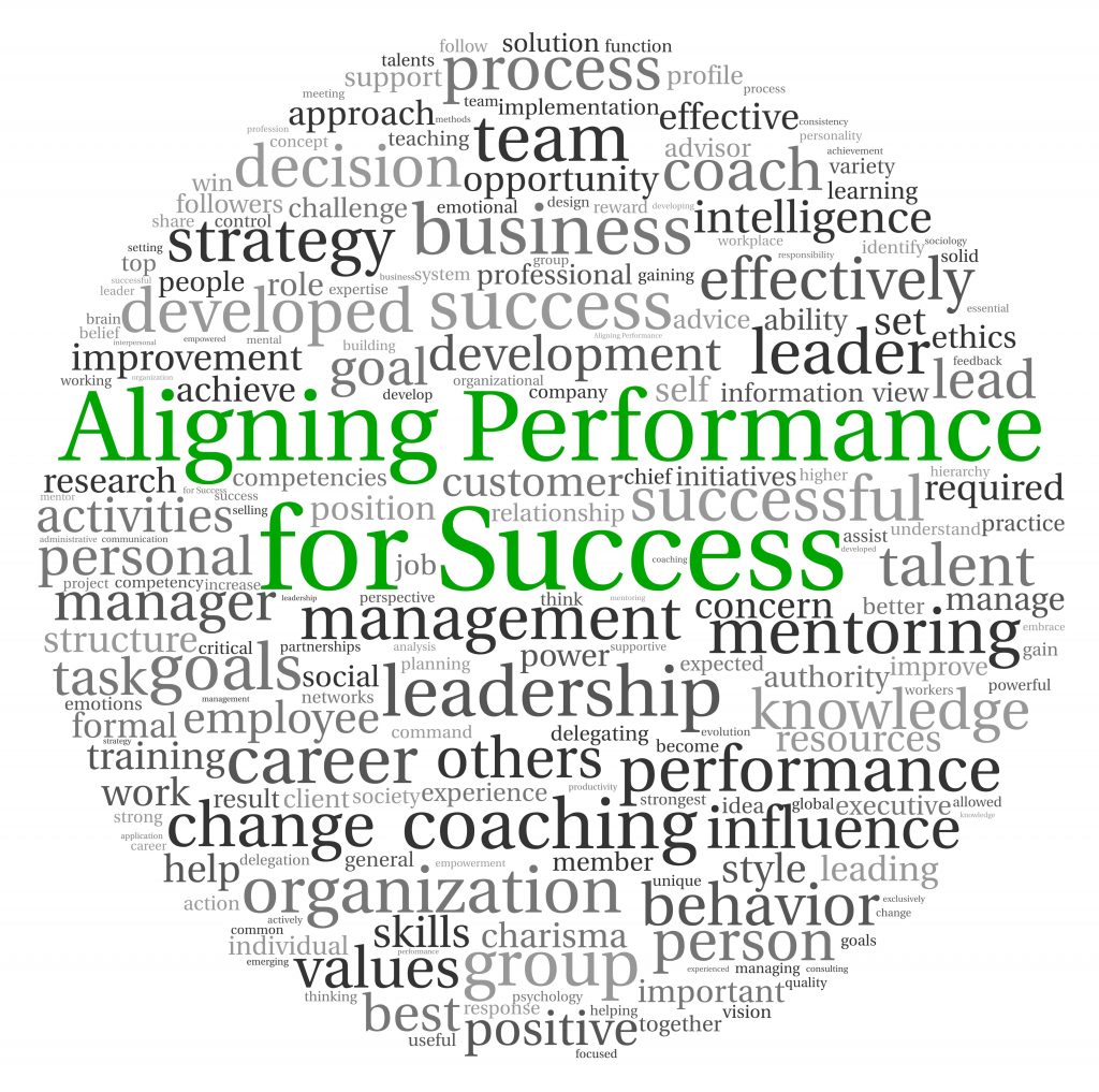 What is Performance Coach or Executive Coach