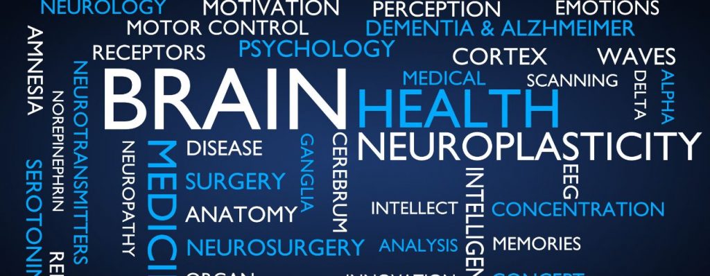 The Role of Neuroplasticity in Mental Health Treatment