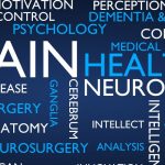 The Role of Neuroplasticity in Mental Health Treatment